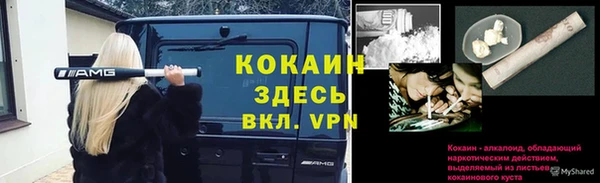 таблы Лиски