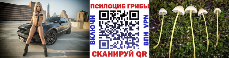 Галлюциногенные грибы ЛСД  нарко площадка клад  Макаров  блэк спрут ССЫЛКА 